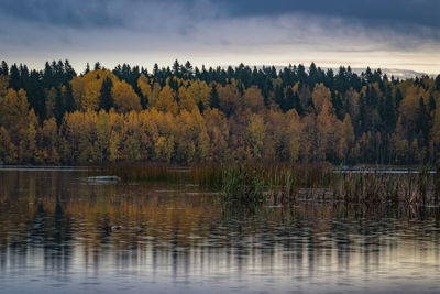 Scenic view of lake by trees against sky