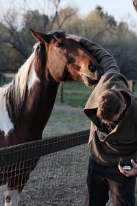 Full length of a horse