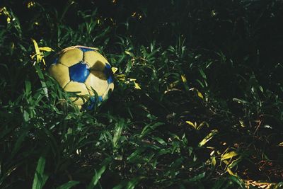 Close-up of soccer field