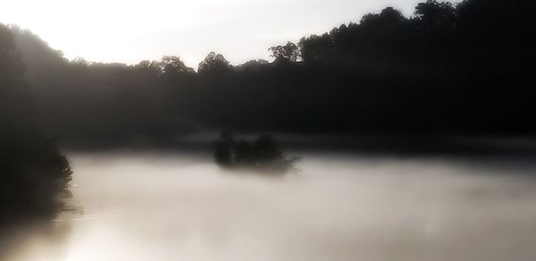 Silhouette trees by lake in forest against sky