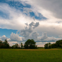 Scenic view of field against sky