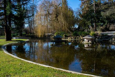 Scenic view of lake by trees