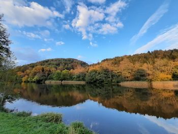 Scenic view of lake by trees against blue sky