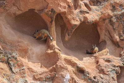 View of rock formation