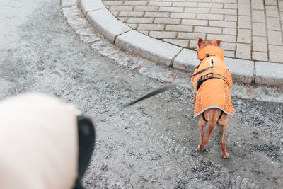 Low section of man walking on street