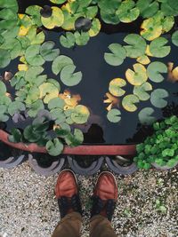 Low section of woman in pond