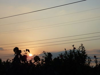 Low angle view of silhouette trees against sky at sunset