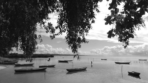 Boats moored in sea against sky