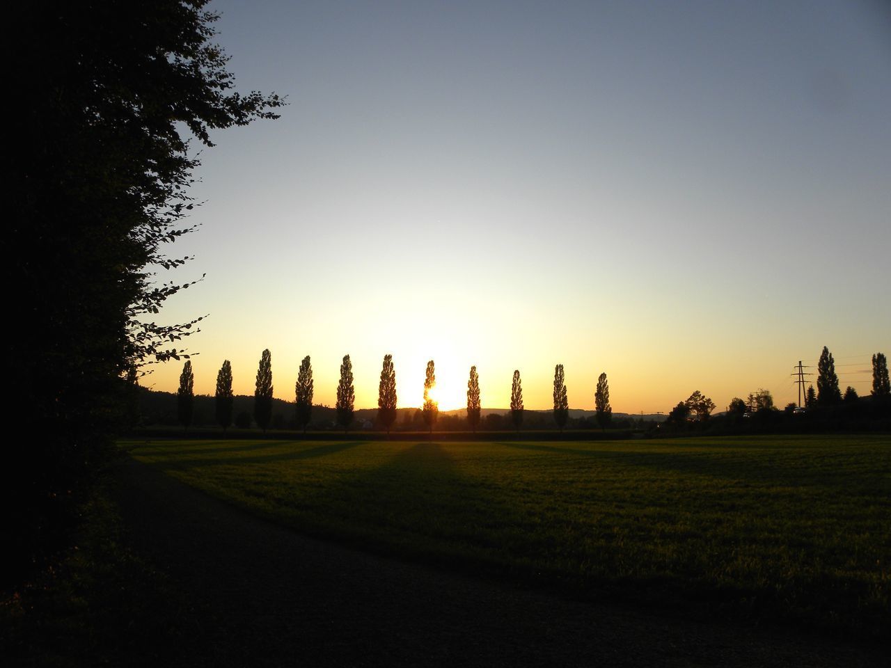 PANORAMIC SHOT OF FIELD AGAINST CLEAR SKY