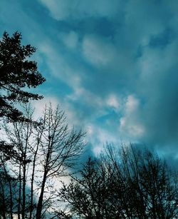 Low angle view of bare tree against cloudy sky