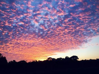 Silhouette trees against dramatic sky during sunset