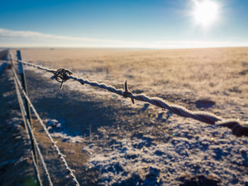 Close-up of frosted barbed wire fence on field against sky