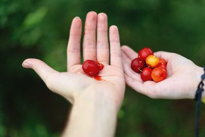 Close-up of hand holding fruit