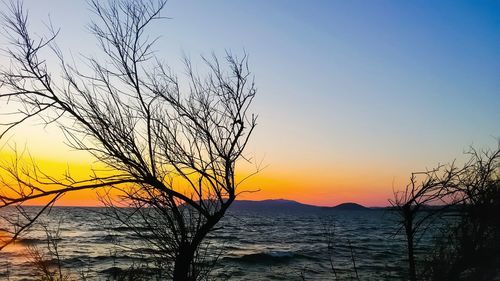 Silhouette bare tree by sea against sky during sunset