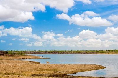 Scenic view of river against sky