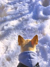View of dog on snow covered landscape