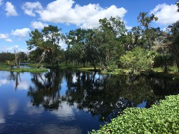 Reflection of trees in lake against sky