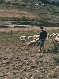 Rear view of farmer standing on land