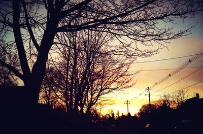 Silhouette of trees at sunset