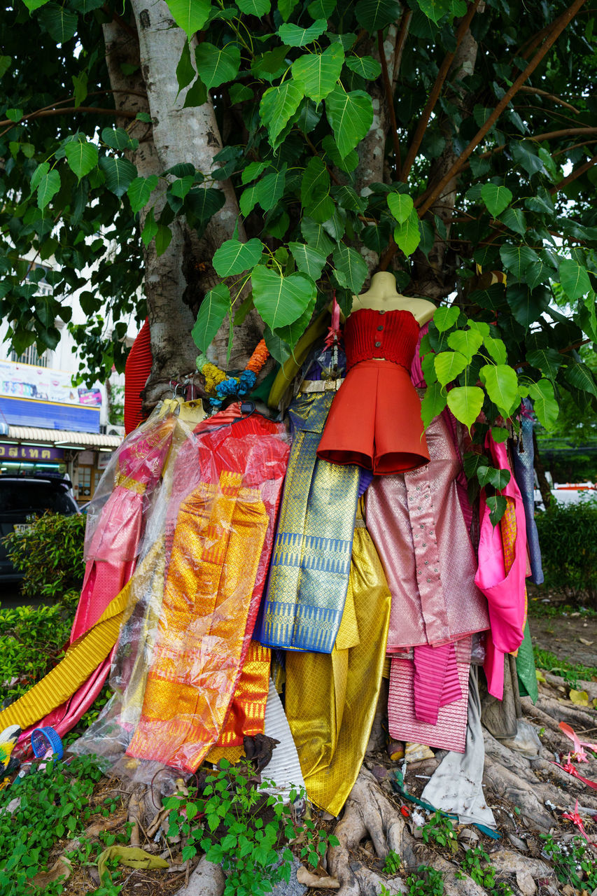 CLOTHES DRYING ON PLANTS