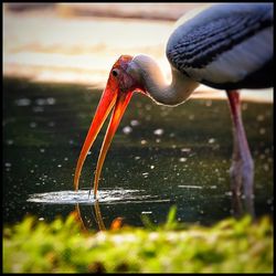 Close-up of splashing water