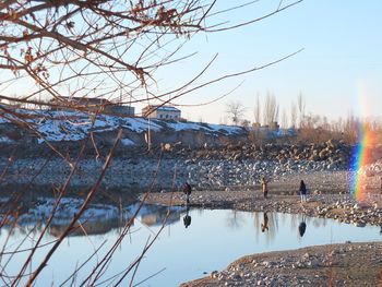 Reflection of bare trees in lake against clear sky