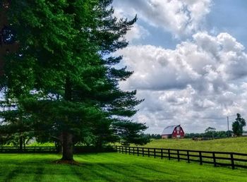 Trees on field against sky