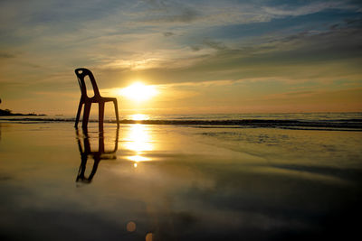 Silhouette tree on beach against sky during sunset