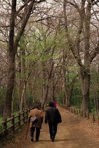 Rear view of people walking on bare trees