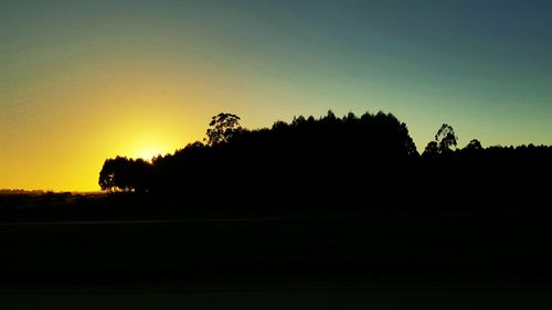 Silhouette trees against clear sky during sunset