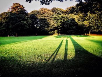 View of golf course against trees