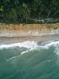 Aerial view of sea by trees