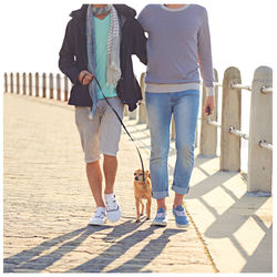 Low section of man walking on street