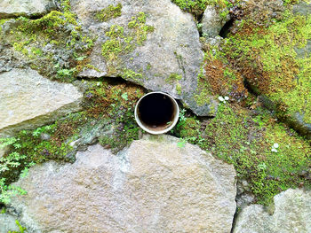 High angle view of coffee on rock