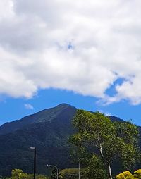 Low angle view of tree mountain against sky