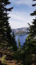 Reflection of trees in lake