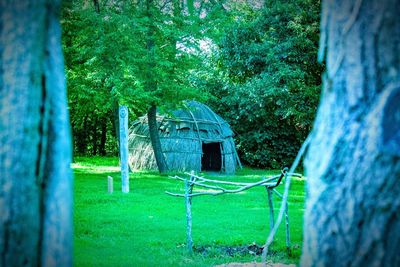 Trees in front of building