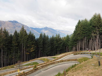 Road amidst trees against sky