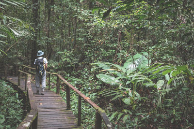 Man standing amidst plants in forest