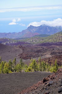 Scenic view of landscape against sky