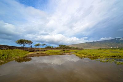 Pond by field against cloudy sky