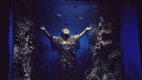 View of fish swimming in aquarium