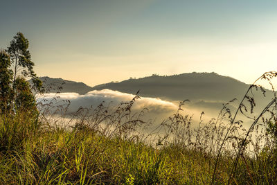 Scenic view of mountains against sky during sunset