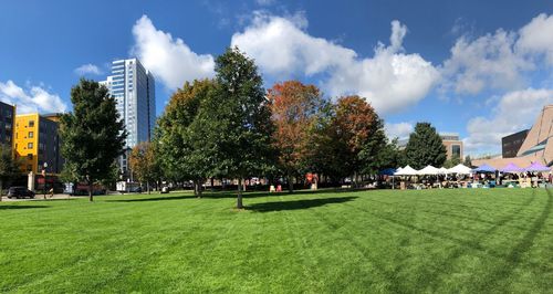 Trees in park against buildings in city