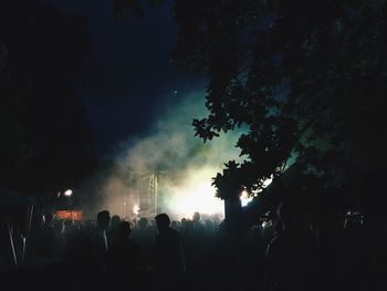 View of illuminated trees at night