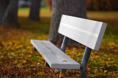 Bench in park