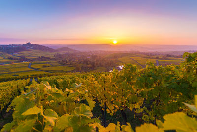 Scenic view of landscape against sky during sunset