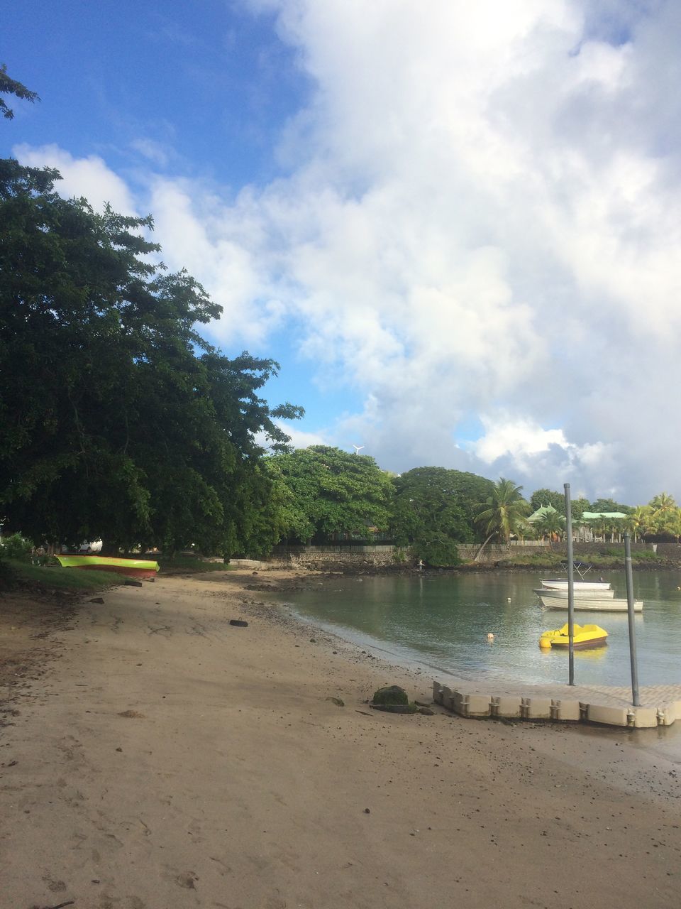 tree, beach, sky, sand, cloud - sky, water, nature, outdoors, day, beauty in nature, sea, tranquility, tranquil scene, no people, nautical vessel, scenics