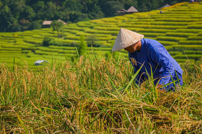 Man standing by plants in farm