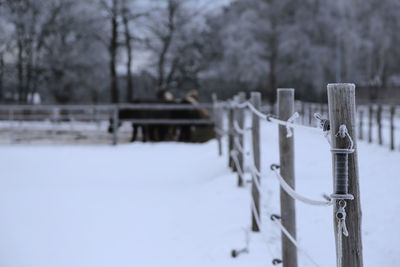 Wooden post on snow covered fence during winter